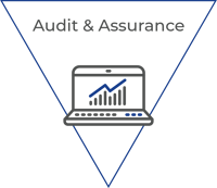 Audit & Assurance w Title
