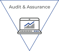 Audit & Assurance w Title