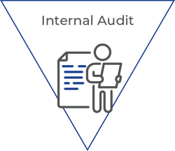 Internal Audit w Title