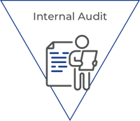 Internal Audit w Title